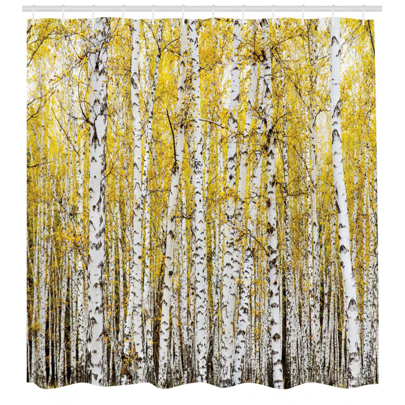 Shower Curtain with Hooks Included, 84" H x 69" W