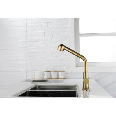 Utility Sink Faucets Single-Handle Pull-Out Laundry Faucet With Dual Spray Function In Stainless Spot Resistant
