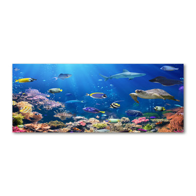 Coral Reef - No Frame Print on Canvas