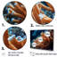 «Orange Branching Coral Reef», reproduction sur toile encadrée-1261035029-1261035026