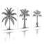 Ensemble de 3 reproductions d'art sur toile, "Palm Trees"-1643190167