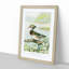 Male Wood Duck by J.L. Ridgway - Picture Frame Art Print-55576582-55576583