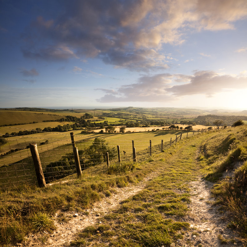 Sunset Over English Countryside by Blackbeck - Wrapped Canvas Print, 76cm H x 76cm W
