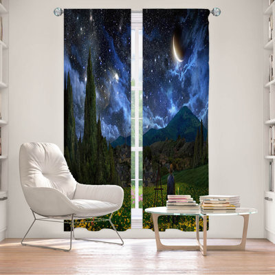 Fedja Room Darkening Curtain Pair