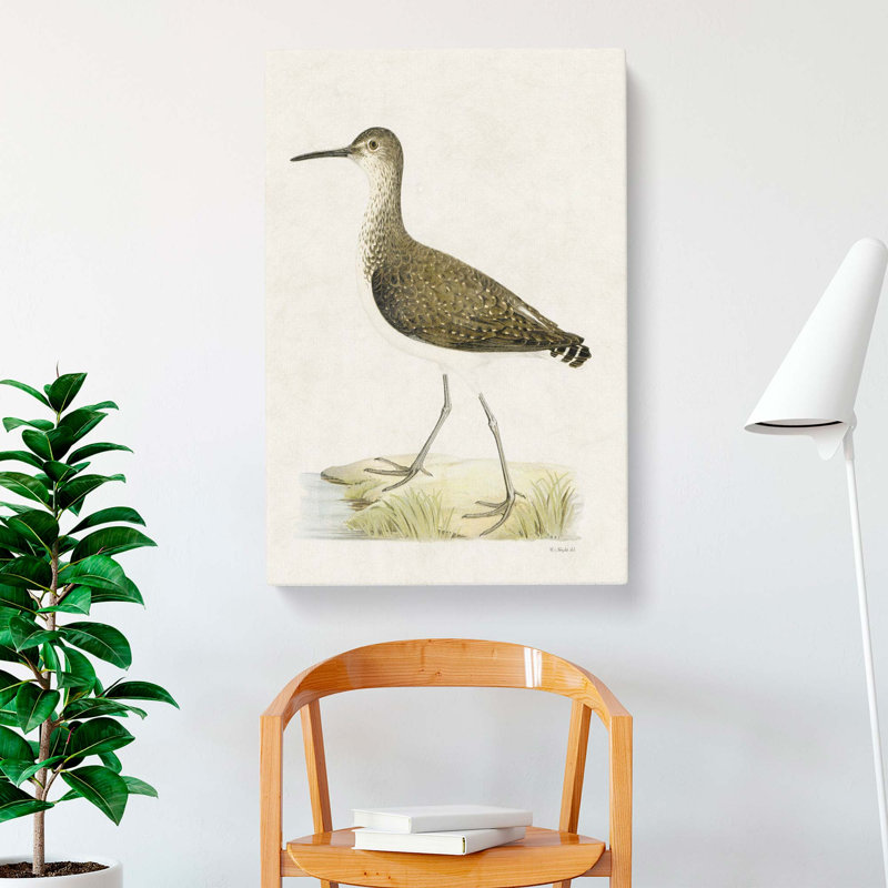 Green Sandpiper by Von Wright - Wrapped Canvas, 91cm H x 60cm W x 3cm D