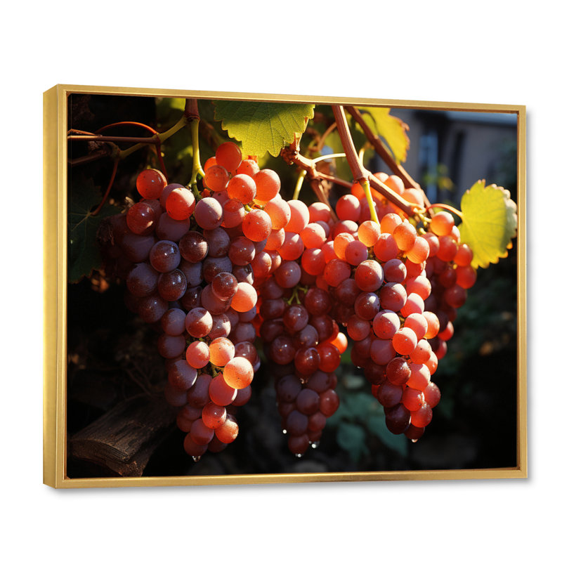 Scenic Vineyard Golden Harvest, H 34 po x l 44 po x P 1,5 po, Cadre flottant doré