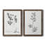 «Botanical Imprint I», ensemble de 2 peintures sur toile encadrées-1115055524-1115055545