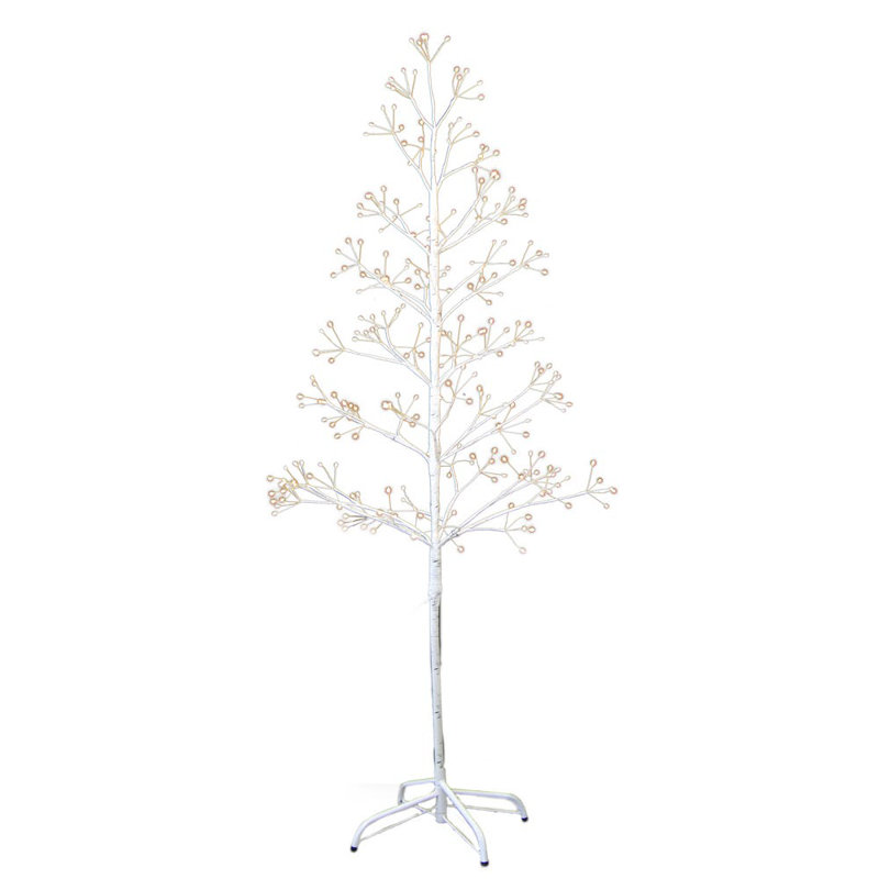 Bouleau illuminé avec branches et branches