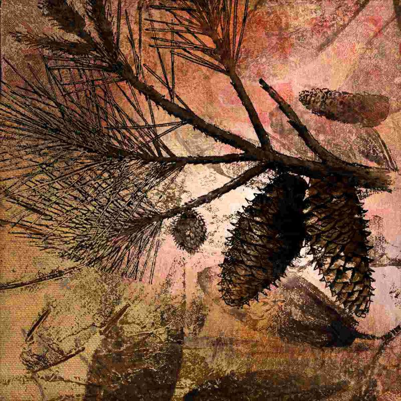 " Pinecone 2 ", 12" W x 12" H