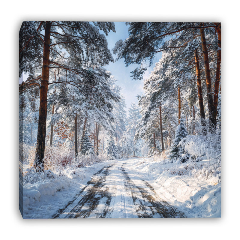 Art mural sur toile de neige recouverte de neige, 12 po x 12 po