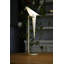 Perch LED Table Lamp