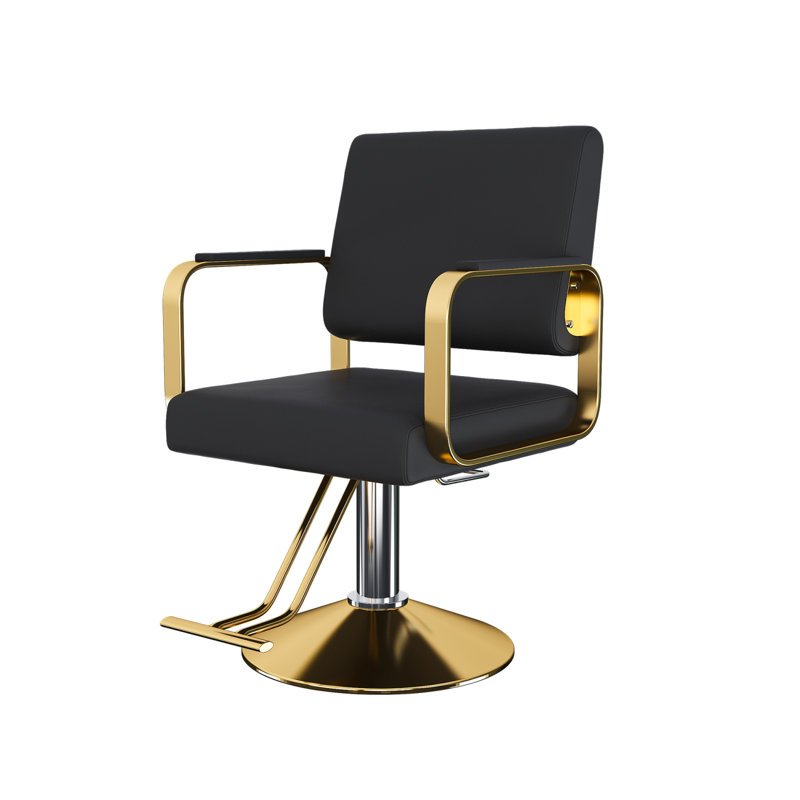 Hydraulic Salon Chair with 360° Swivel & Heavy-Duty Pump for Salons & Spas