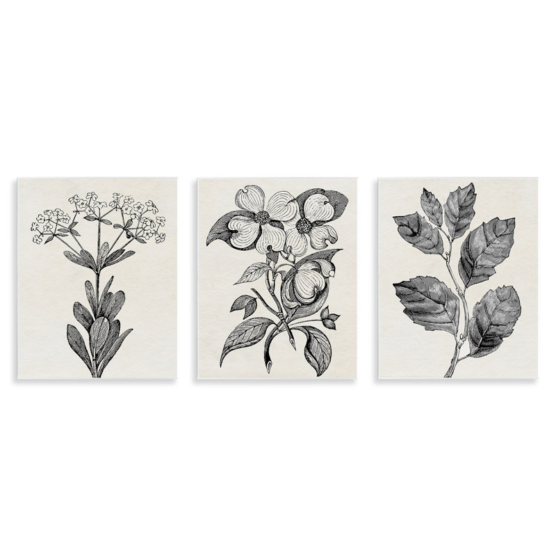 Plaque murale Classic Natural Botanicals, design par Karen Smith