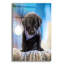 «Black Lab Pup 12» par Jonathan Ross-1876344195