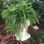 Statue de Muggly's Grumpy Gramps-1925864982-1925864984