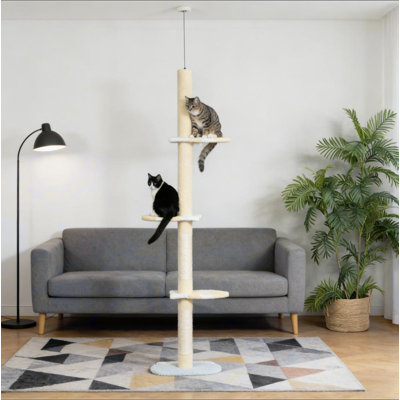 Arbre à chat, arbre à chat à 4 niveaux
