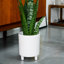 Pisa Indoor Planter-451811407-451811402