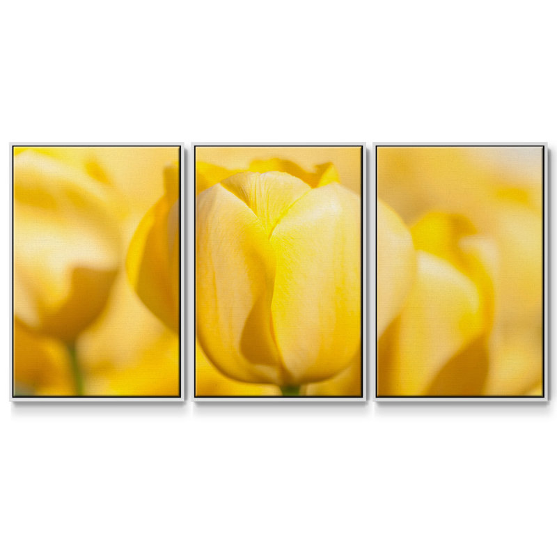 " Sunshine Yellow II " 3 - Pieces, White Framed, 40" H x 78" W