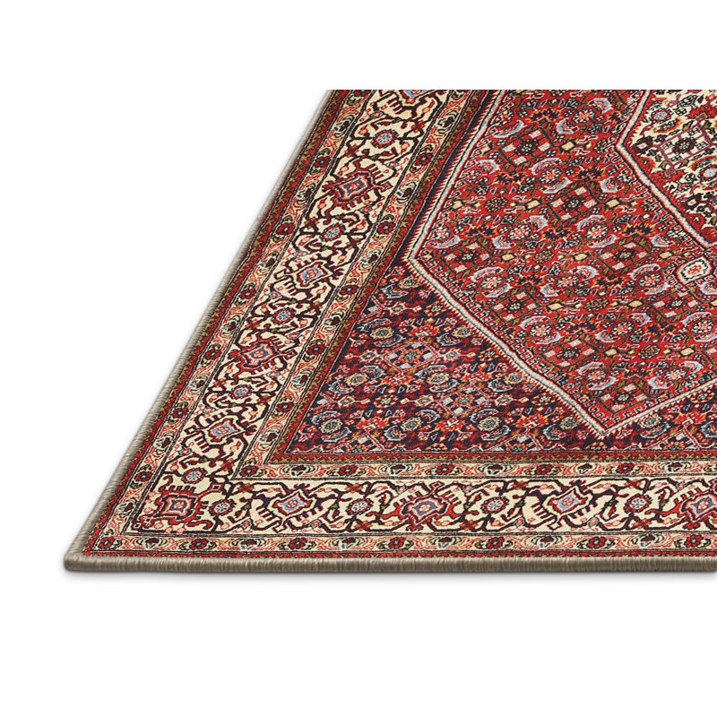 Oriental Indoor Rug, Rectangle 2' x 5'