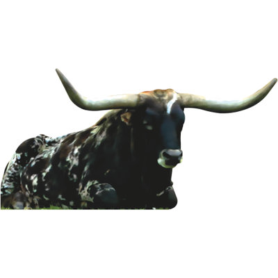 SP13393 Vache Texas Longhorn