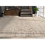 Oriental Area Rug in Beige/Red/Gray-1602976581