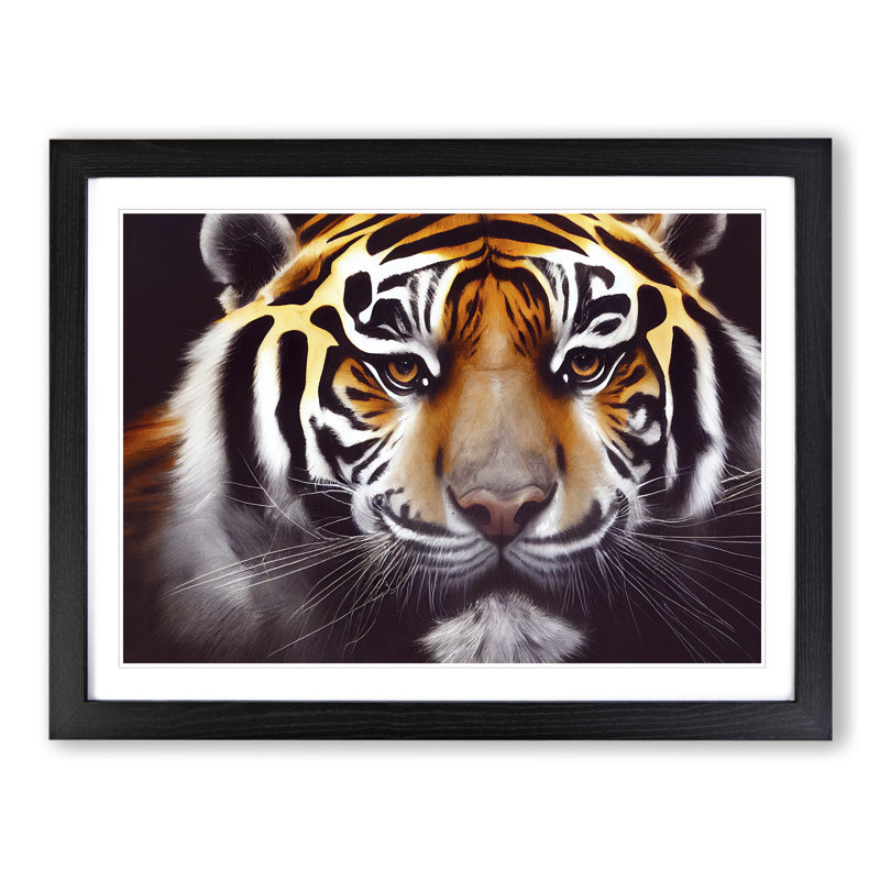 Lovely Tiger - Single Picture Frame Print, Black, 46cm H x 64cm W