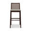 Modern Brazilian Nardia Cane Bar Stool-1635994358-1635994354