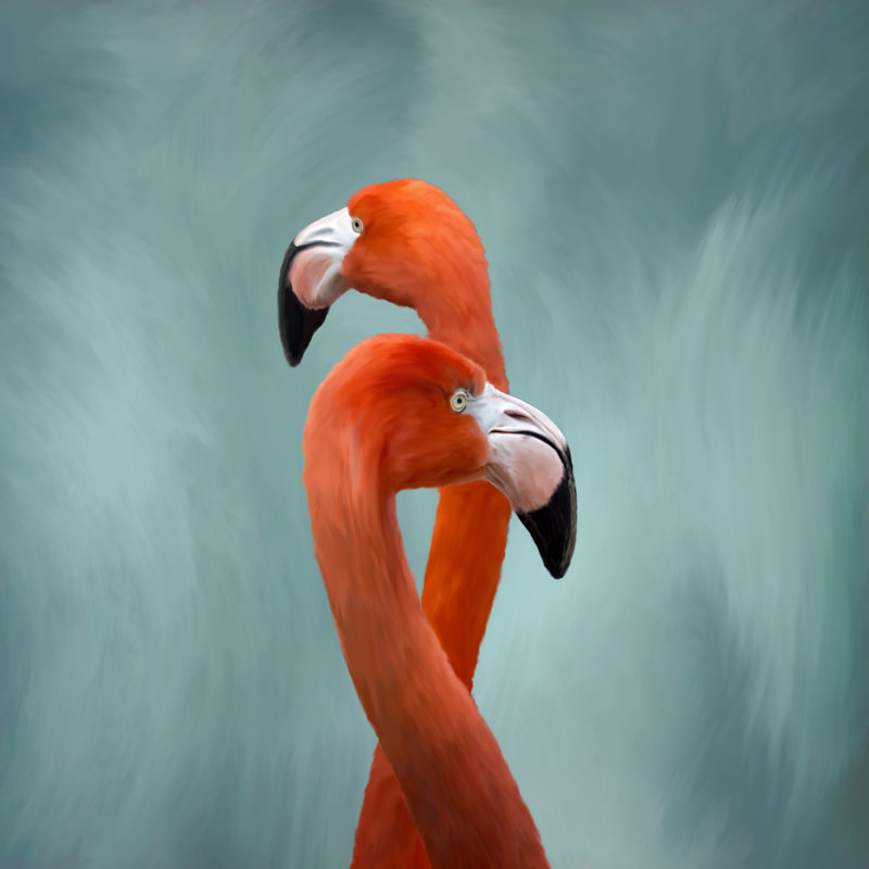 Flamingos Painting by Mshake - Wrapped Canvas Painting, 30cm H x 30cm W