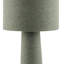 40Cm Green Table Lamp
