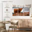 Vache Highland en Écosse-107933892