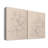 Fruit Contour Study I-Premium Gallery Wrapped Canvas -Ready to Hang