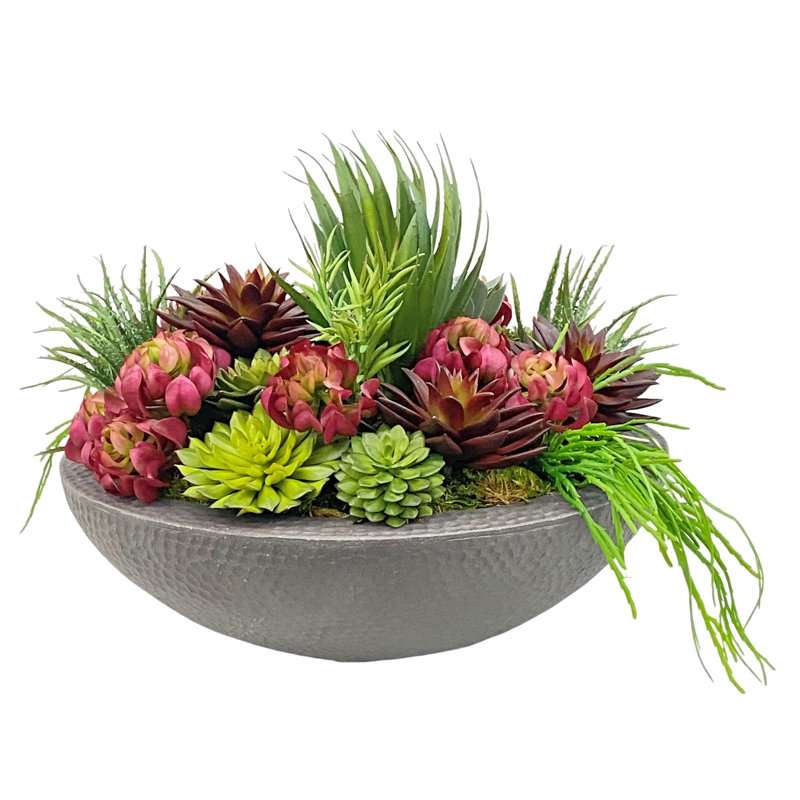 Mixed Succulents In Bowl