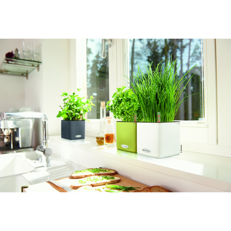 Cube Pot Planter, Lime Green
