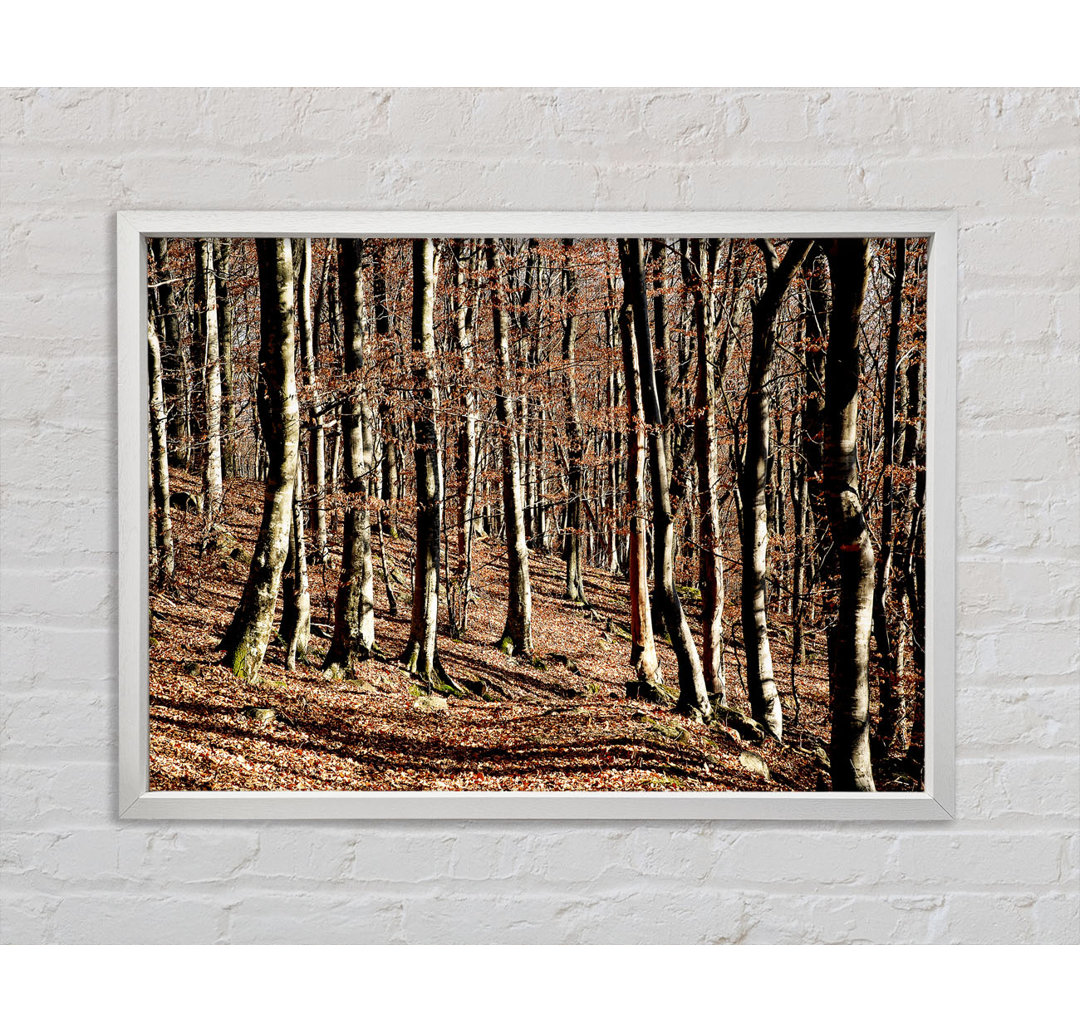 Woodland Beauty - Einzelner Bilderrahmen Kunstdrucke auf Leinwand