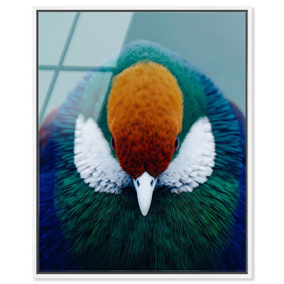 «Vibrant Plumage I», art mural encadré par Notoriart, cadre blanc, 36 x 45