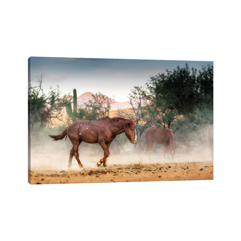 Wild Horse Running in Arizona Desert 1 Piece Wrapped Canvas Wall Art, 20.32 cm H x 30.48 cm W