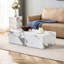 Table basse Modern Minimalist Farmhouse