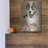" Akita " by Barbara Keith-1667744227