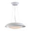 Luminaire suspendu en forme de dôme à 1 lumière DEL-30752210-30752215