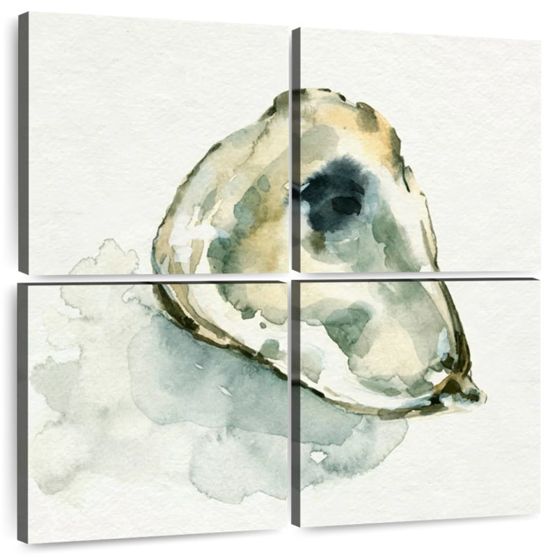 Aletra Old Salt Shell II