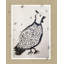 Little Pheasant Print by Bainbridge, Hope-1013147880
