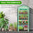 2.26' W x 1.63' D Greenhouse