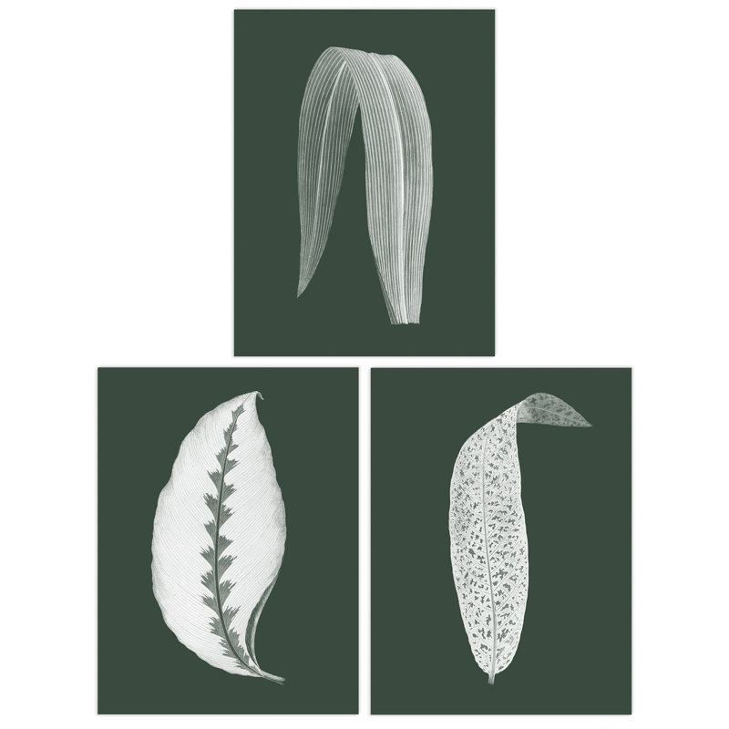 Forest Green Plant Tree Leaf Detailed Foliage Botanical Invert Colour - 3 Piece No Frame Print Set