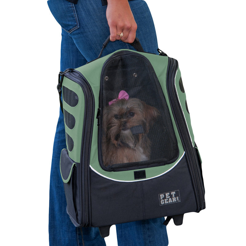 Sac de transport en nylon, Sauge
