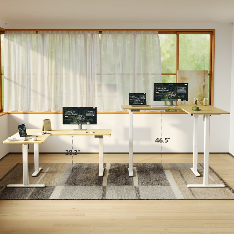 Schlater 63'' L-Shaped Height Adjustable Standing Desk, Natural, White