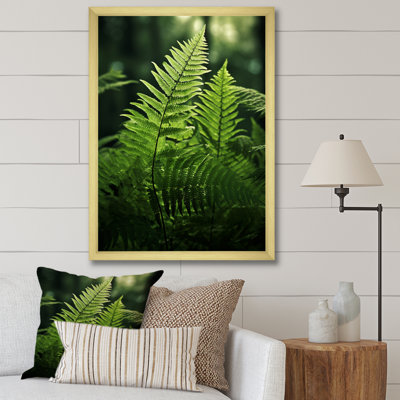 Wonderland Ferns In Green World X, reproduction d'art sur toile