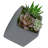 Ealy Ceramic Wall Planter-27330509