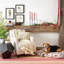 Framboise Handwoven Cotton Rug-4214443