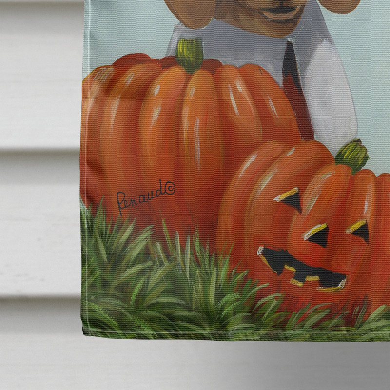 Drapeau de maison Hvidovre Sheltie Halloween en polyester à 2 faces 3 x 2 pi, Teckel pèlerin de l'Action de grâce
