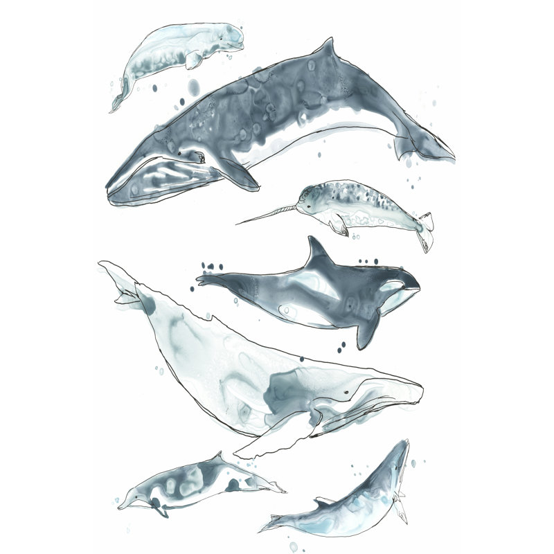 Cetacea I by June Erica Vess - Wrapped Canvas Art Prints, 46cm H x 30cm W x 3.8cm D